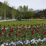 Apartementhaus Schoendorfer Appartement *